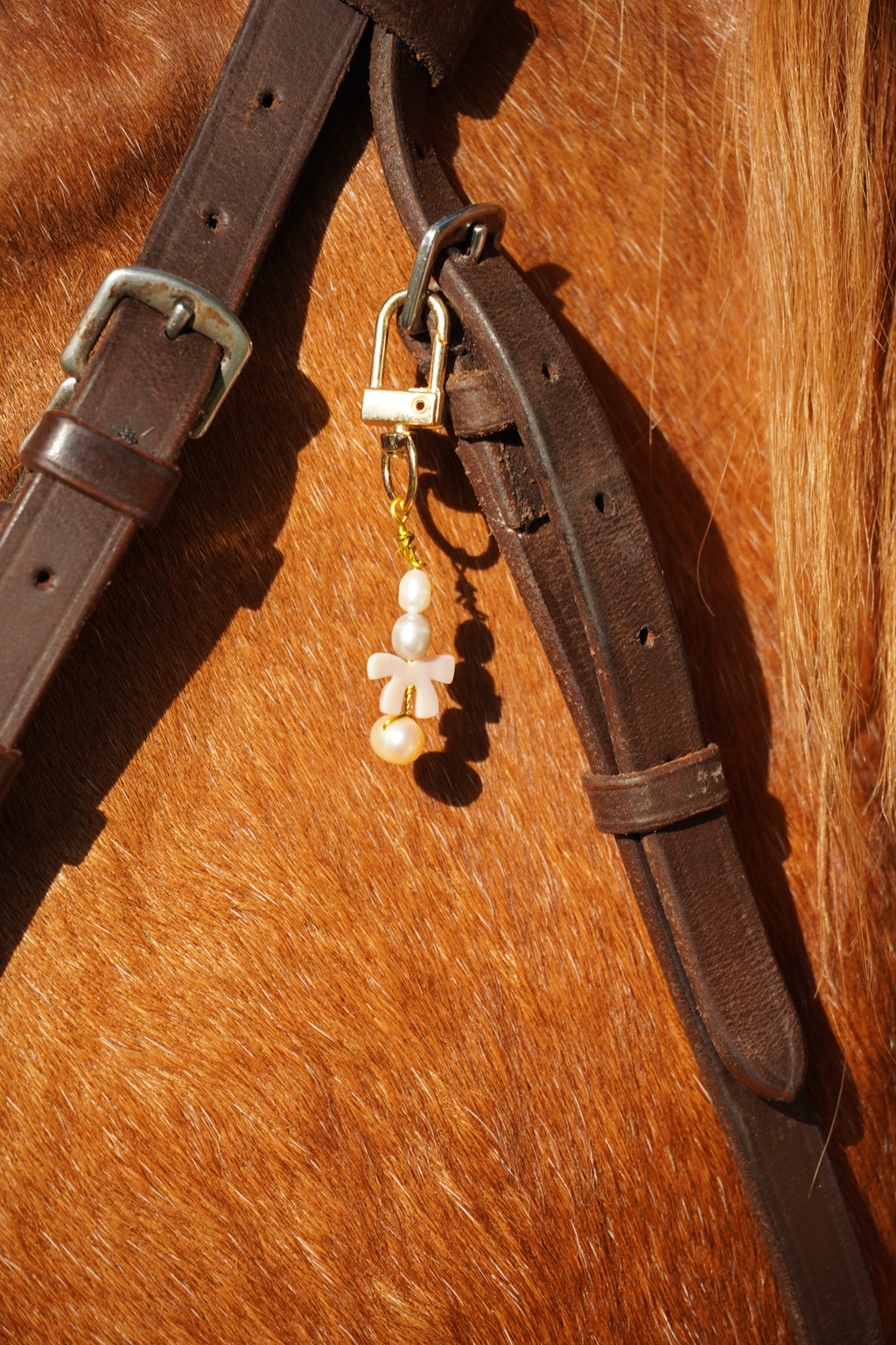 Charm licol filet cheval