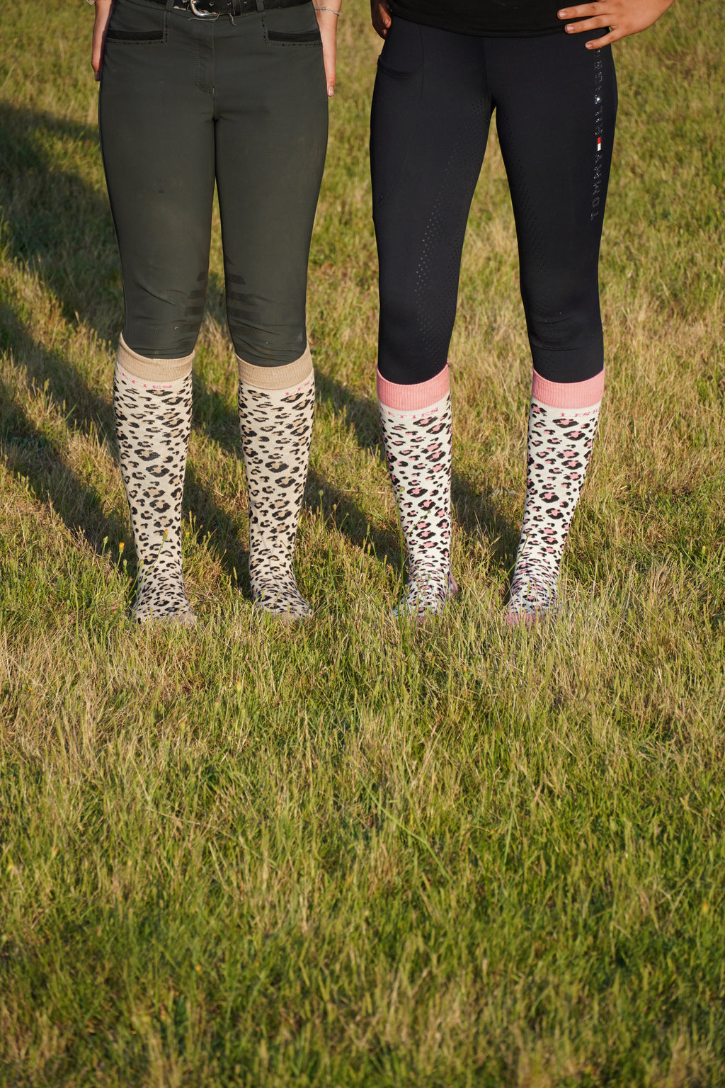 Box Les Riolettes