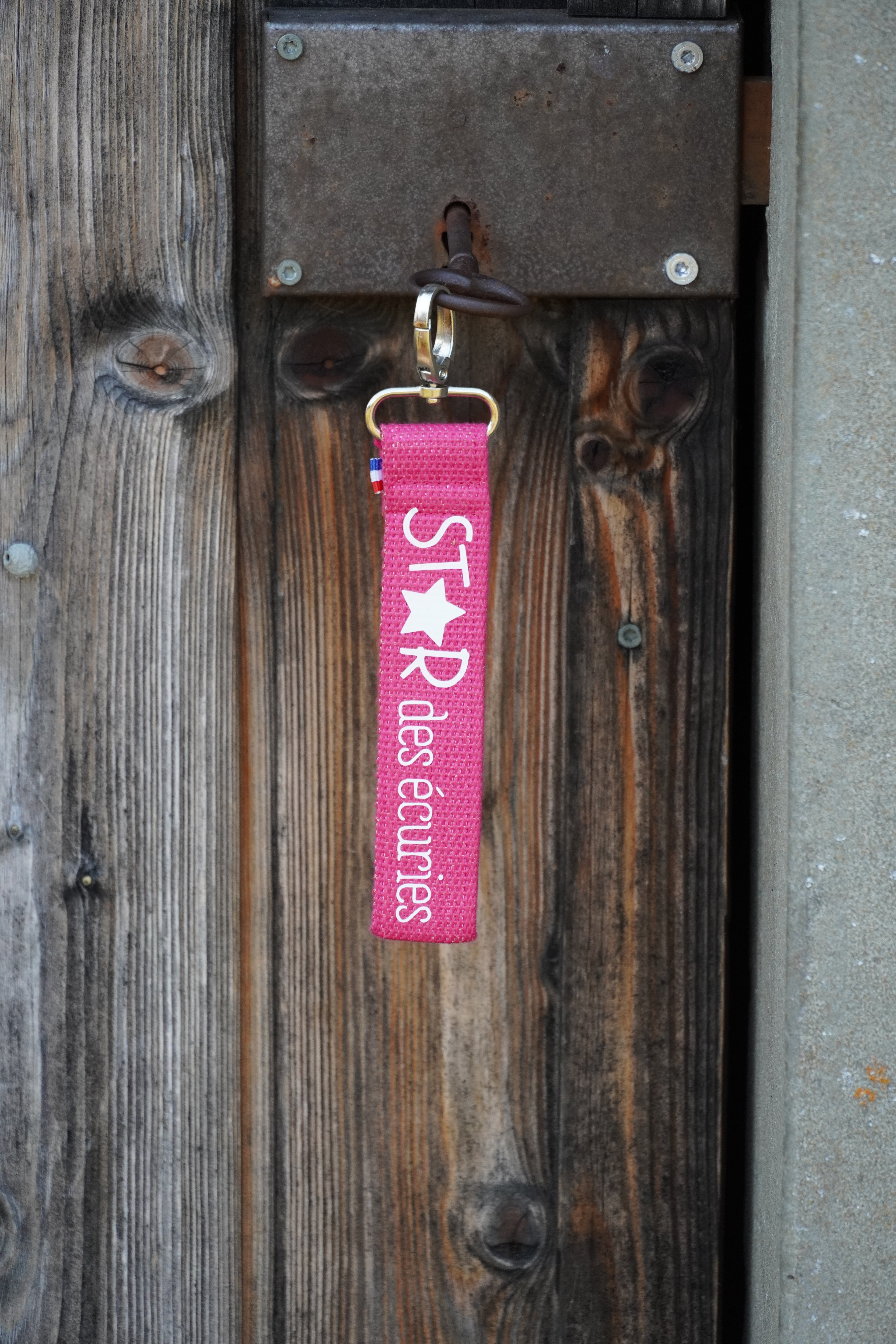 Porte clé sangle rose